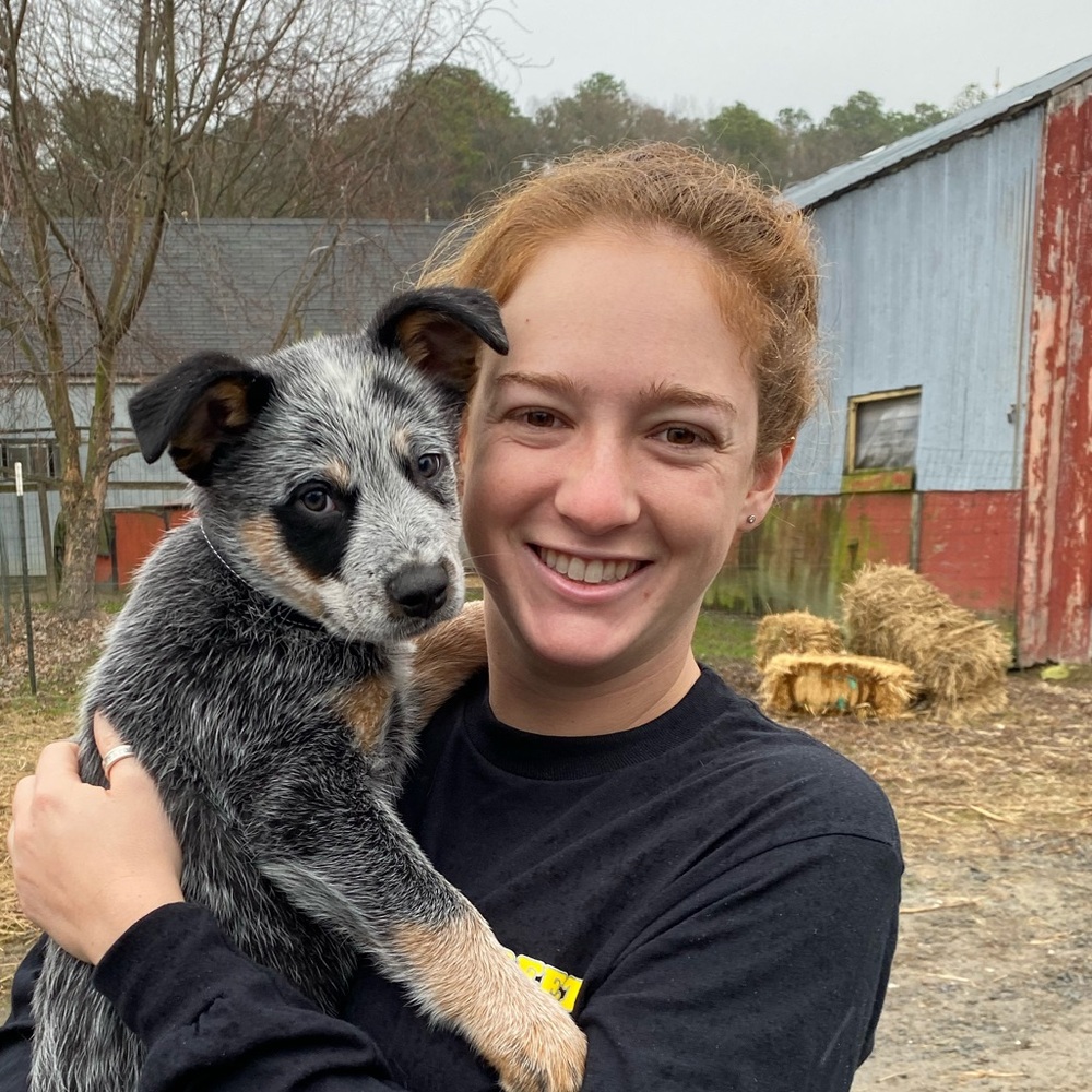 Meet your Posher, Mary